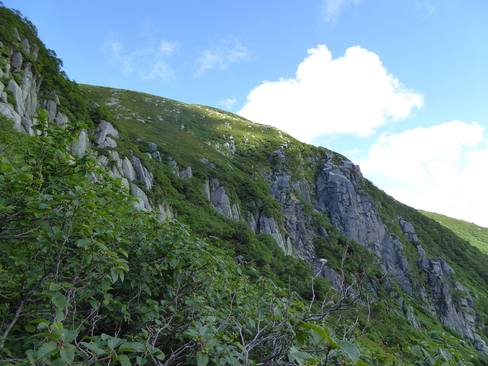 P1050067_mid.jpg