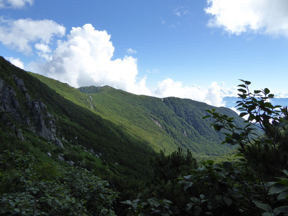 P1050068_mid.jpg