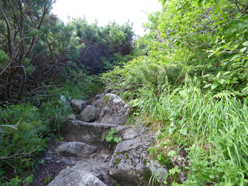 P1050069_mid.jpg