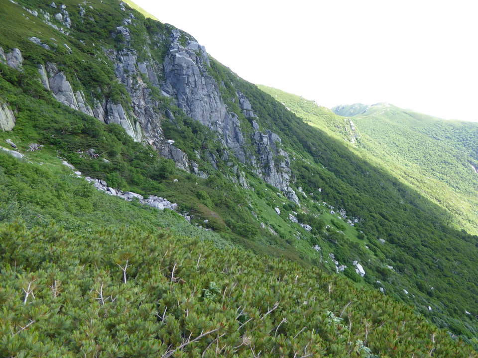 P1050073_mid.jpg