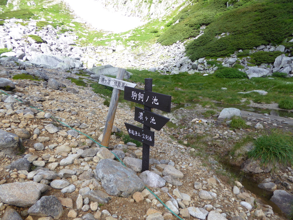 P1050077_mid.jpg