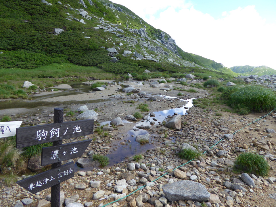 P1050079_mid.jpg
