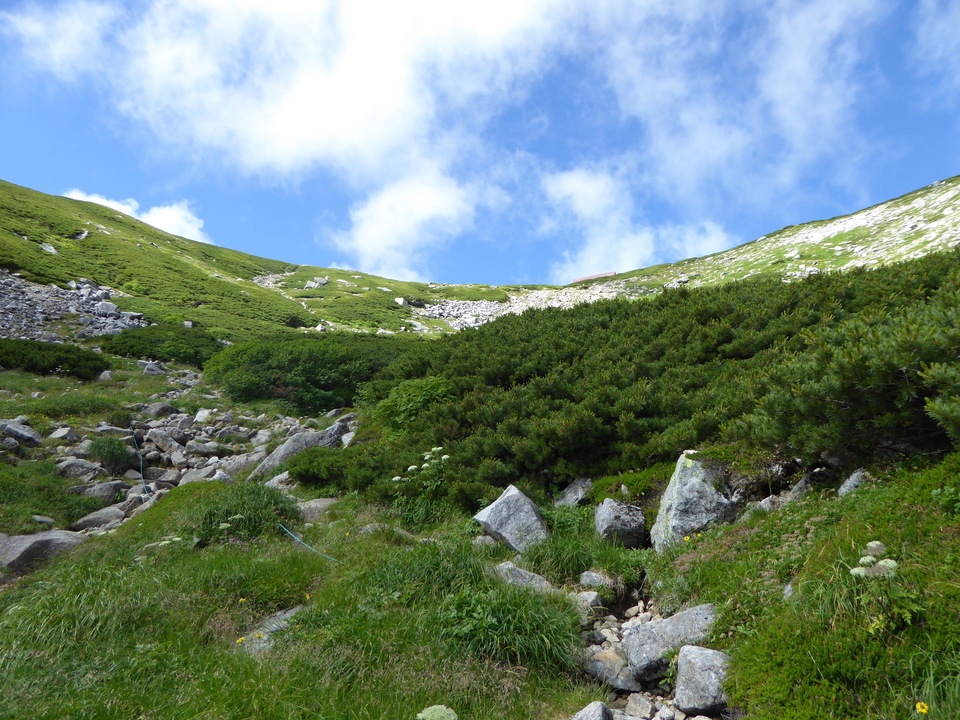 P1050082_mid.jpg