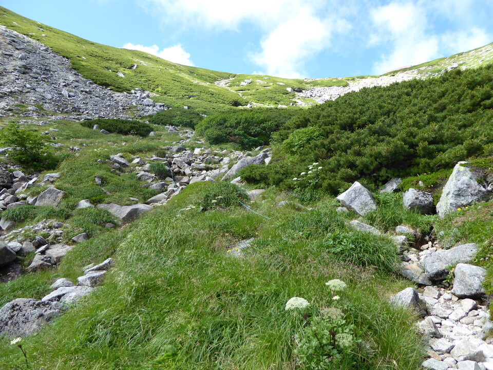 P1050083_mid.jpg