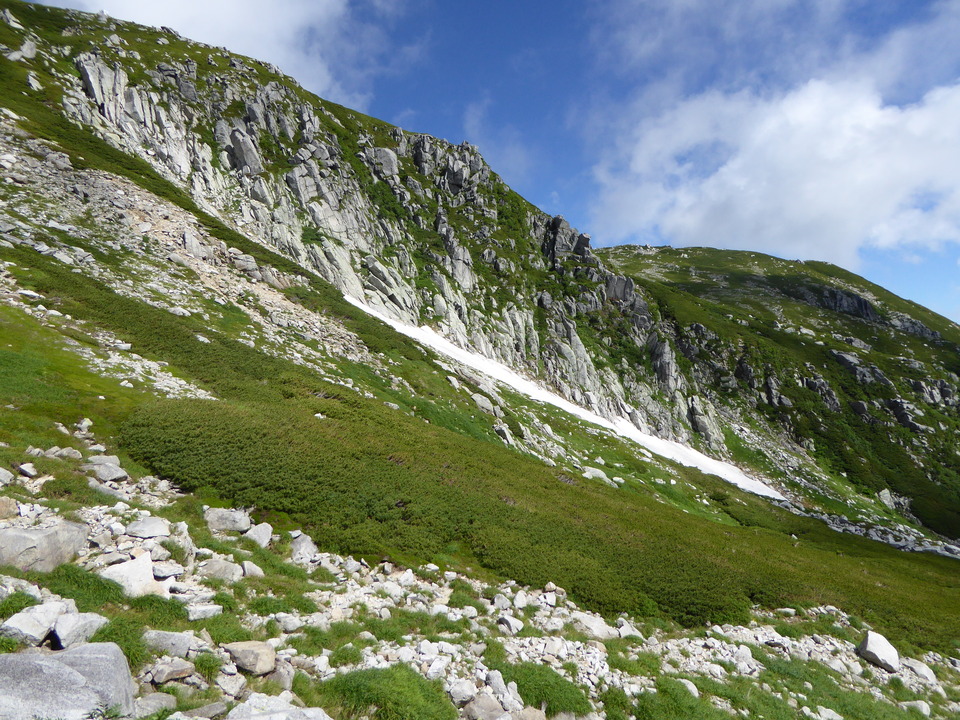 P1050088_mid.jpg