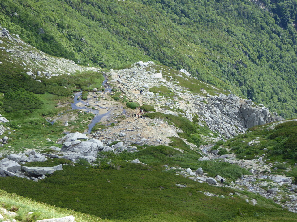 P1050096_mid.jpg