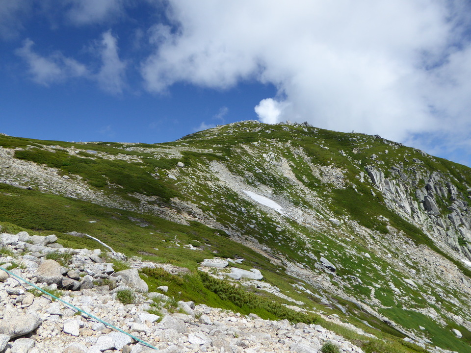 P1050098_mid.jpg