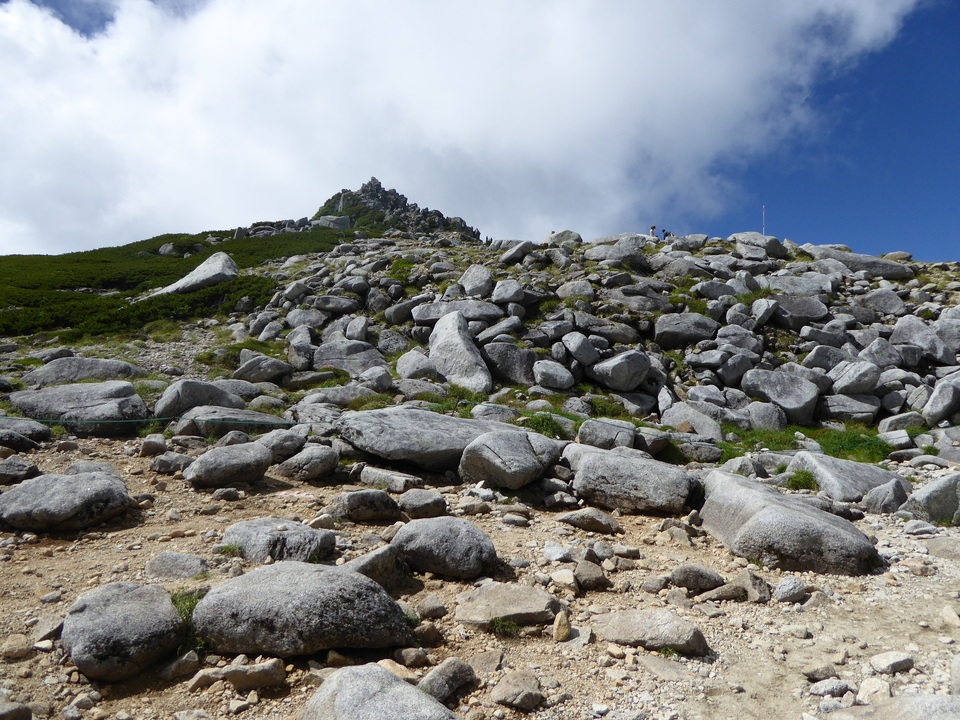 P1050109_mid.jpg