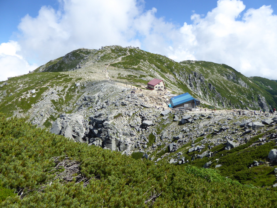 P1050114_mid.jpg