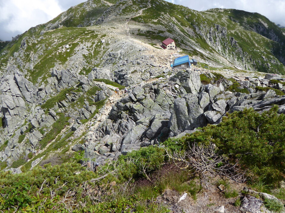 P1050128_mid.jpg