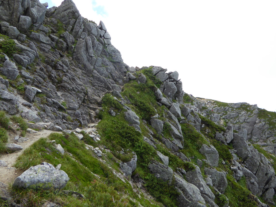 P1050154_mid.jpg