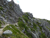 P1050154_thumb.png