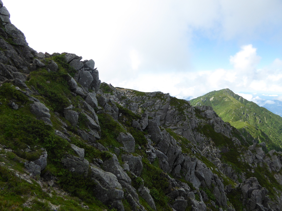 P1050155_mid.jpg