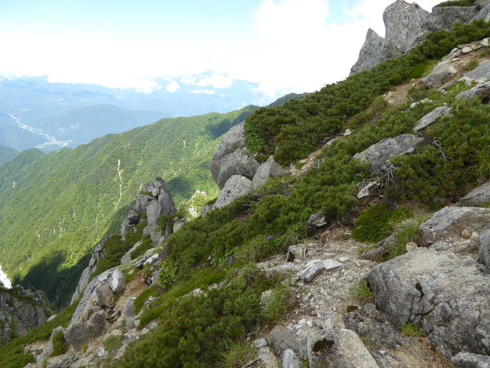 P1050157_mid.jpg