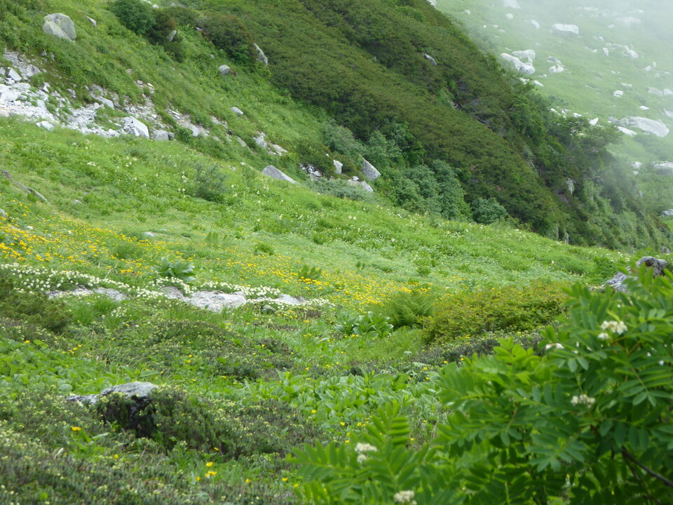 P1050166_mid.jpg