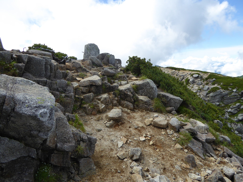 P1050173_mid.jpg