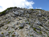 P1050174_thumb.png