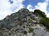 P1050175_thumb.png
