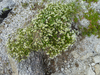 P1050189_thumb.png