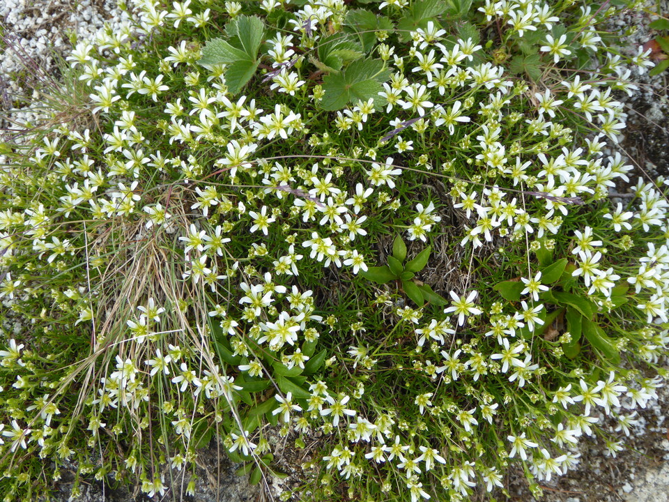 P1050190_mid.jpg