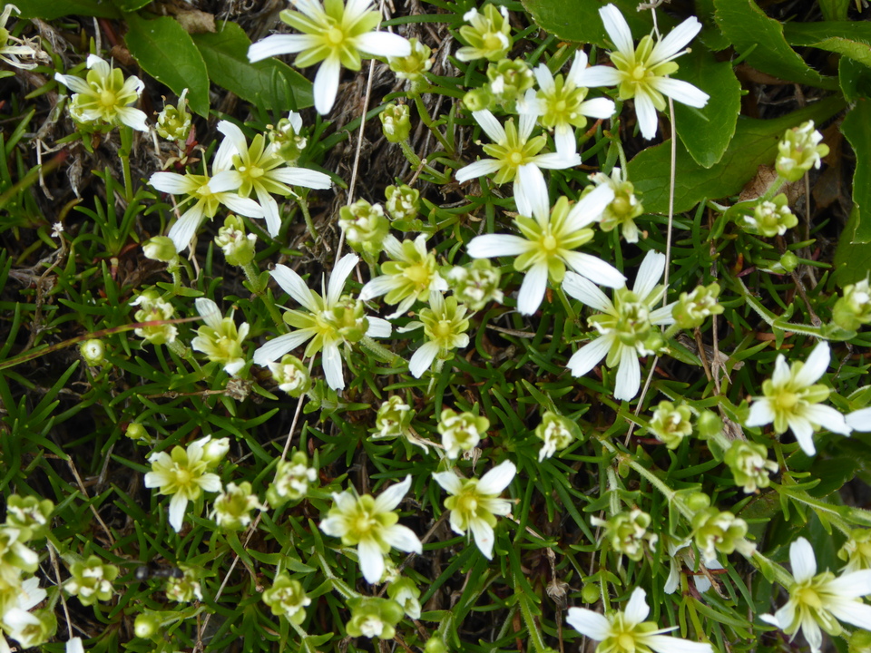 P1050191_mid.jpg