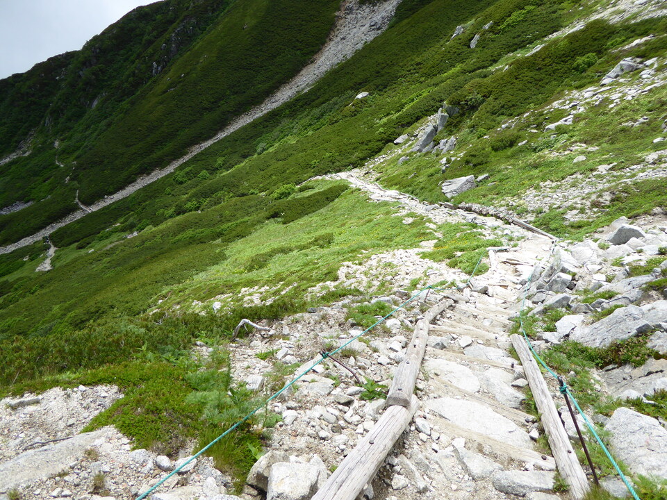 P1050197_mid.jpg