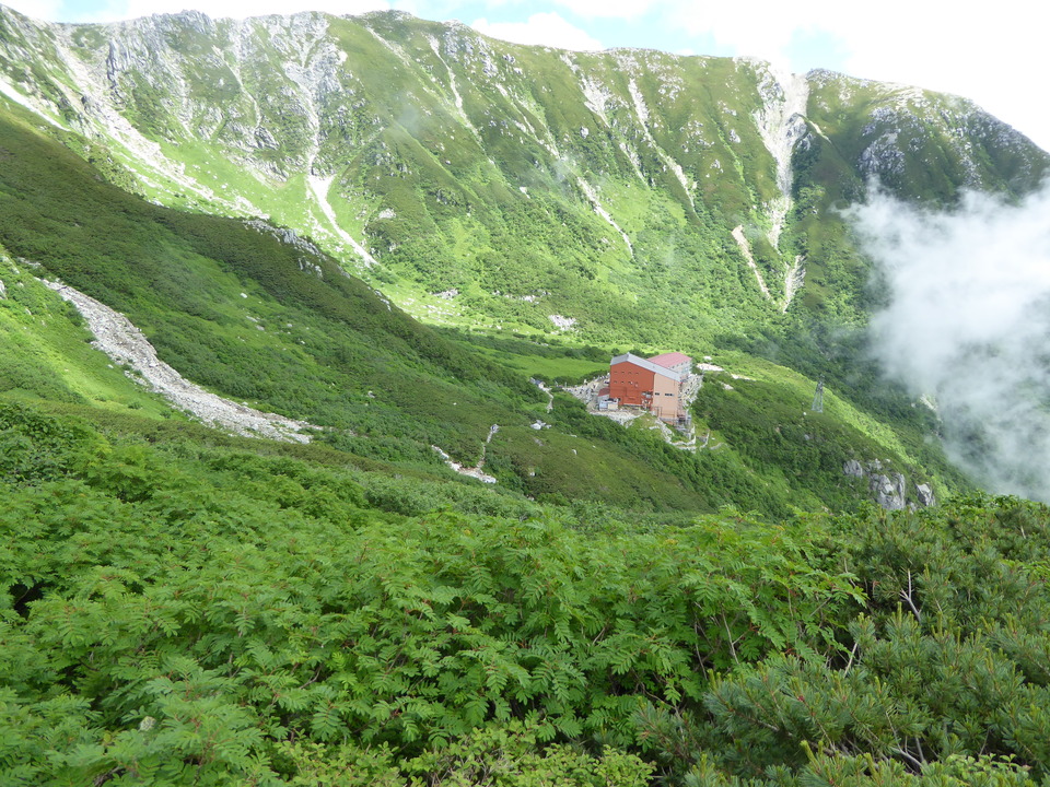 P1050199_mid.jpg