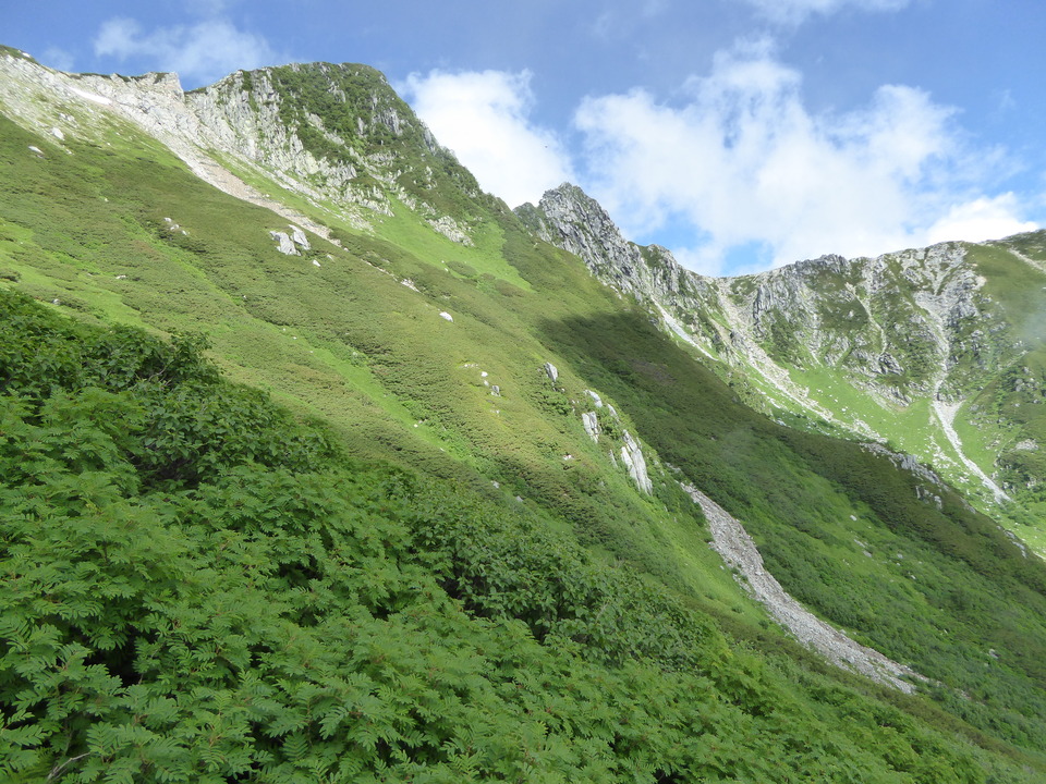 P1050201_mid.jpg