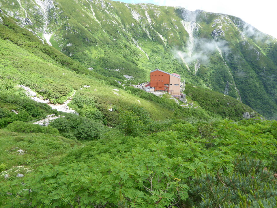 P1050202_mid.jpg