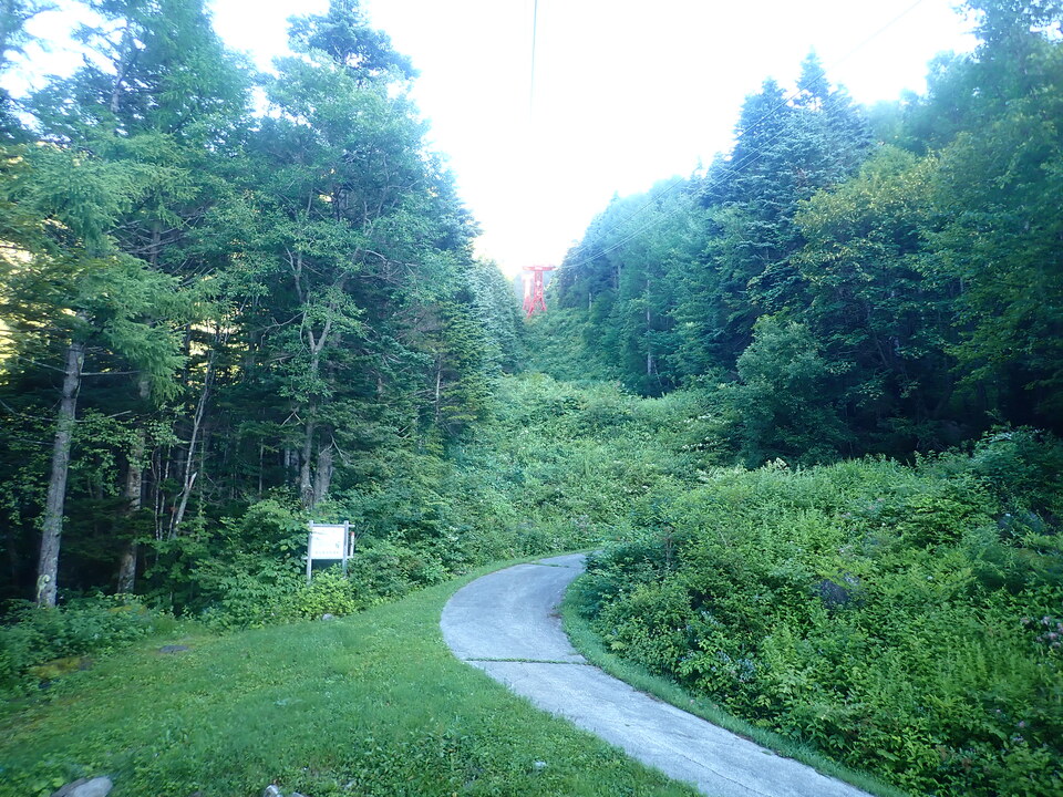 P7308983_mid.jpg