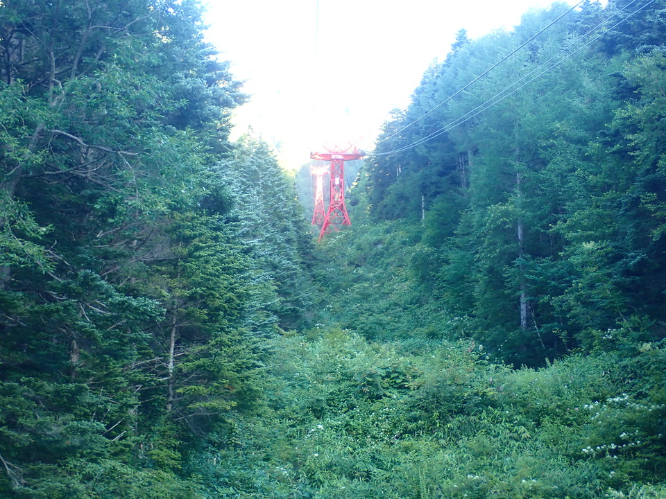 P7308984_mid.jpg