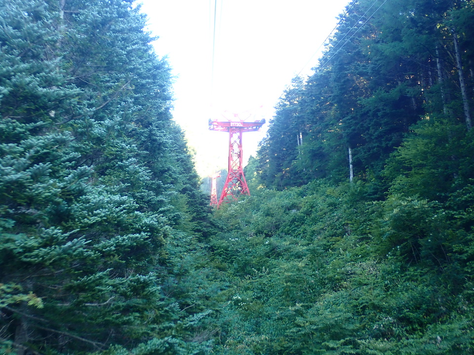 P7308985_mid.jpg