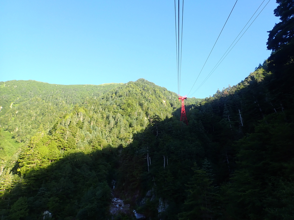 P7308988_mid.jpg