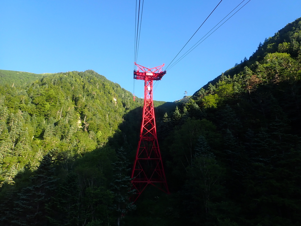P7308994_mid.jpg