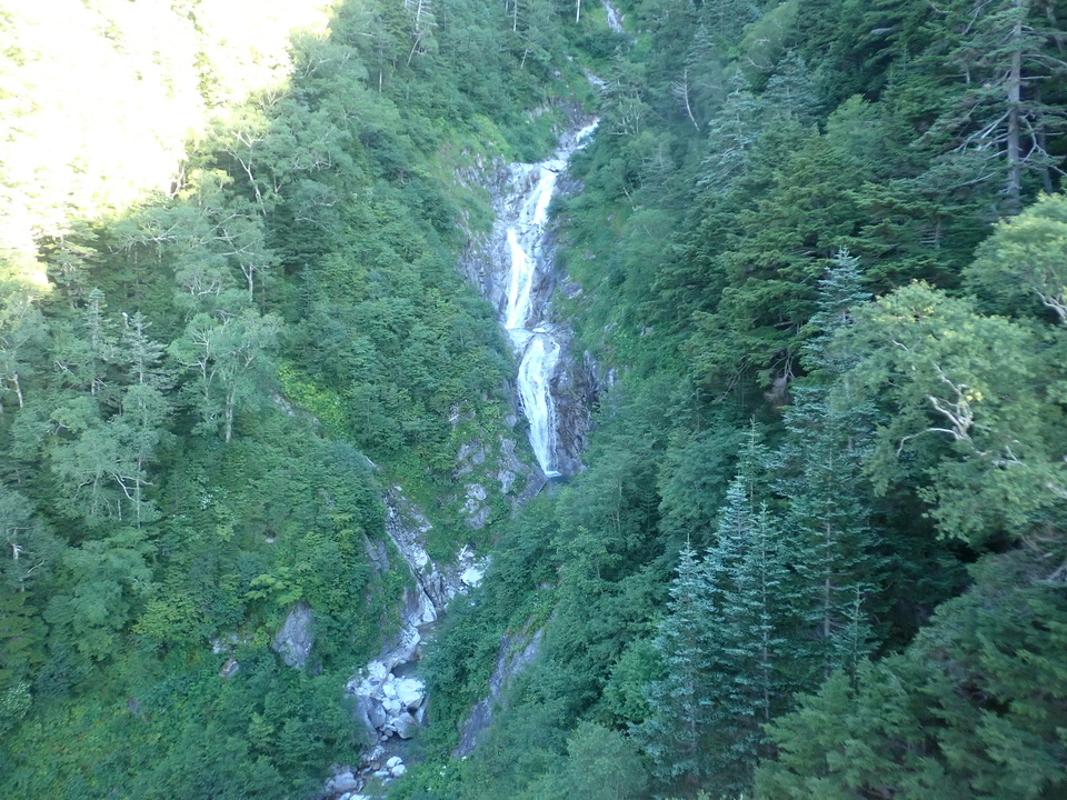P7308996_mid.jpg