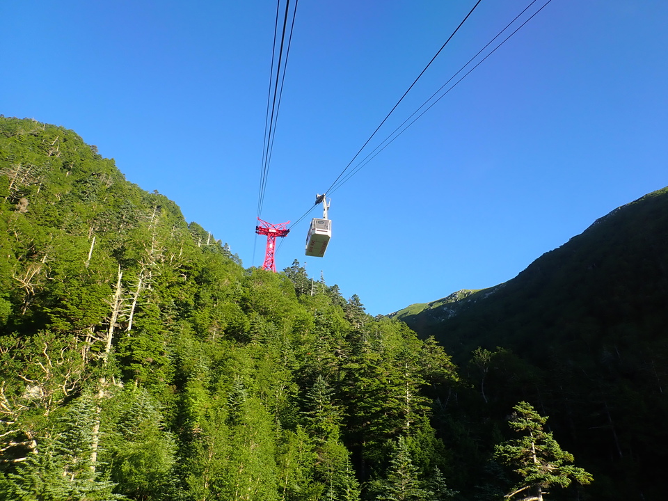 P7309000_mid.jpg