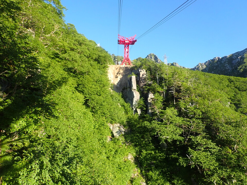 P7309003_mid.jpg