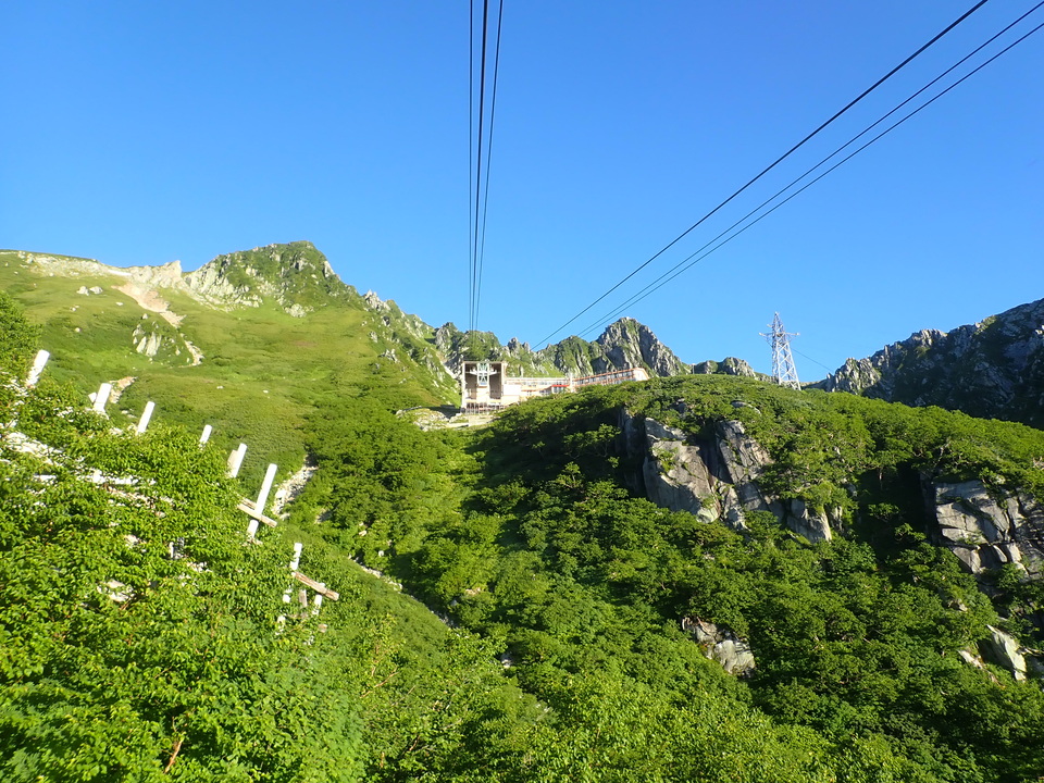 P7309005_mid.jpg