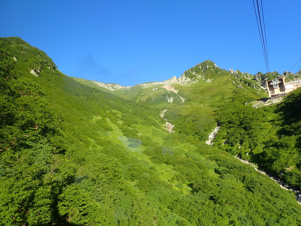P7309006_mid.jpg