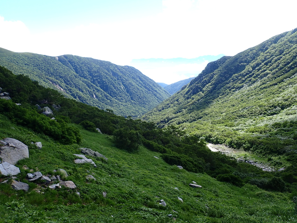 P7309018_mid.jpg