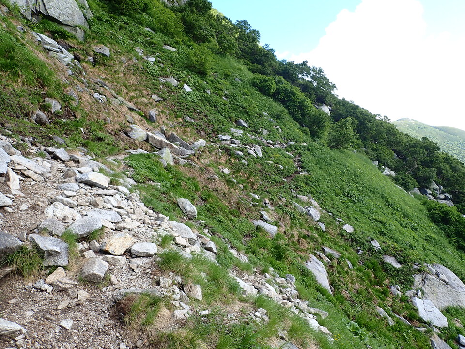P7309019_mid.jpg