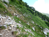 P7309019_thumb.png