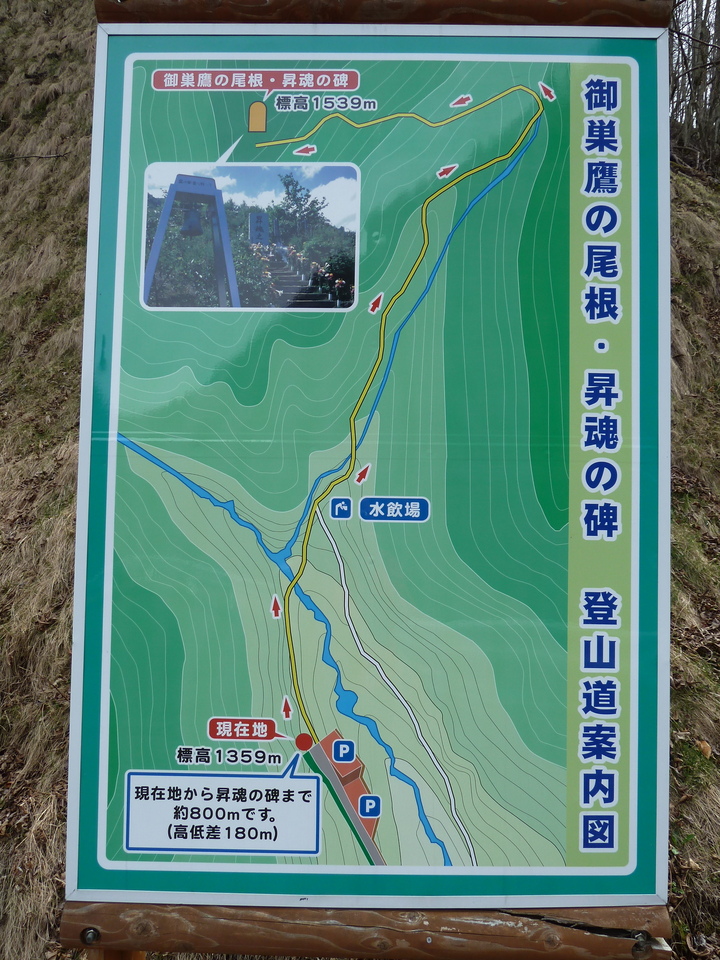 P1030302_mid.jpg