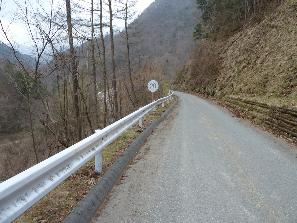P1030313_mid.jpg