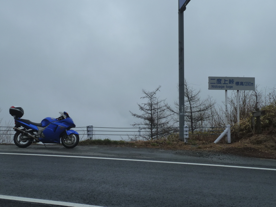 P1030377_mid.jpg
