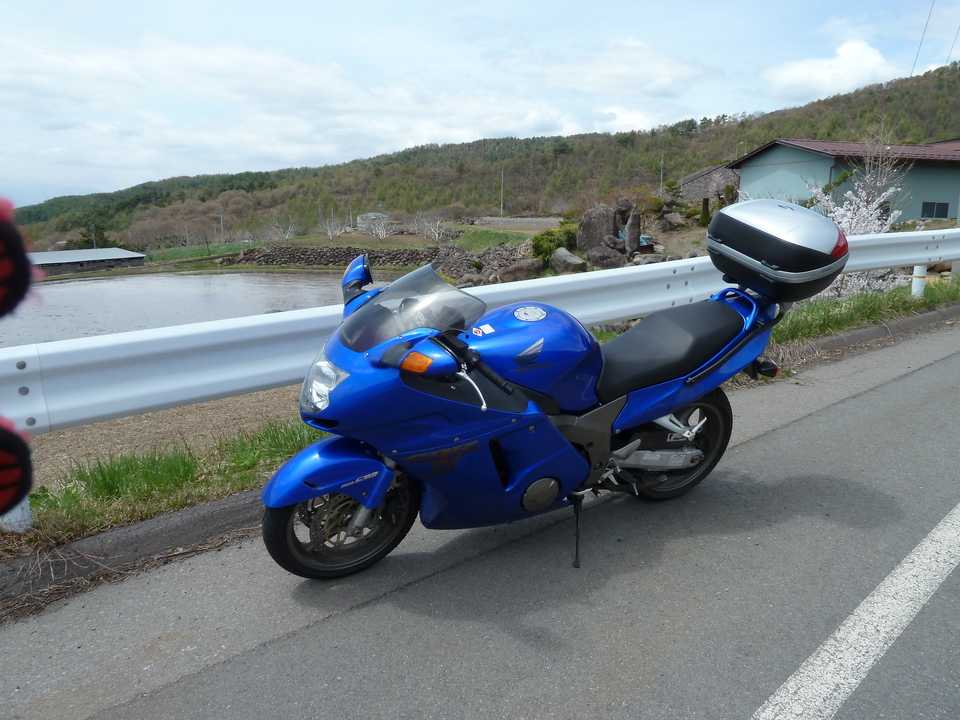 P1030394_mid.jpg