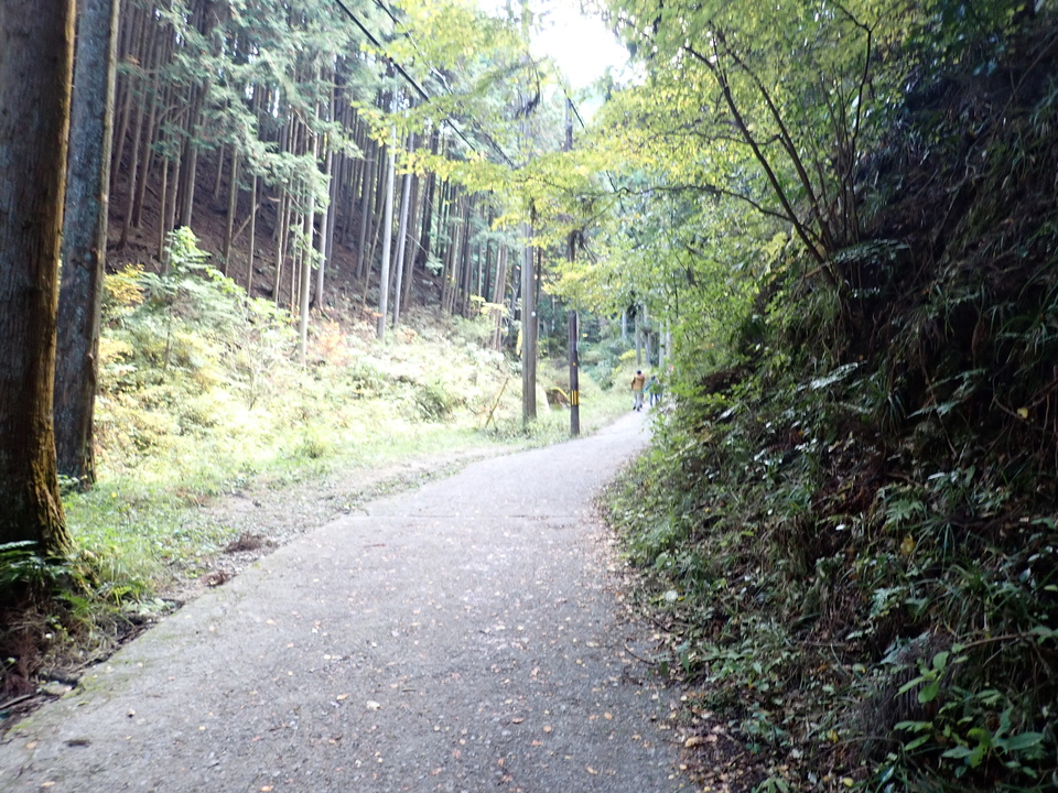 PB135910_mid.jpg