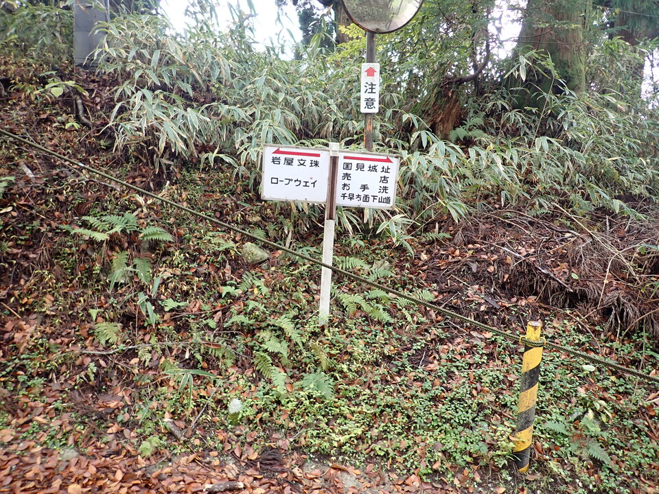 PB135948_mid.jpg