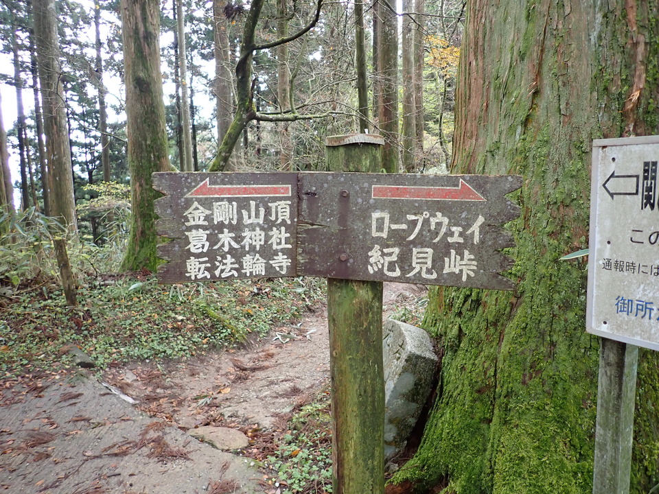 PB135972_mid.jpg