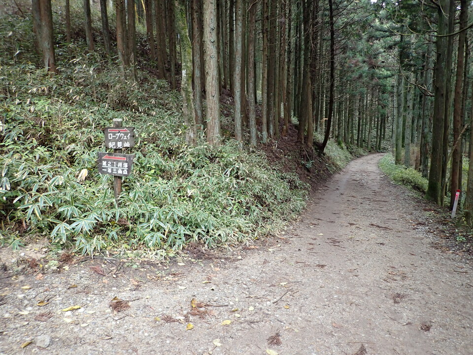 PB135975_mid.jpg